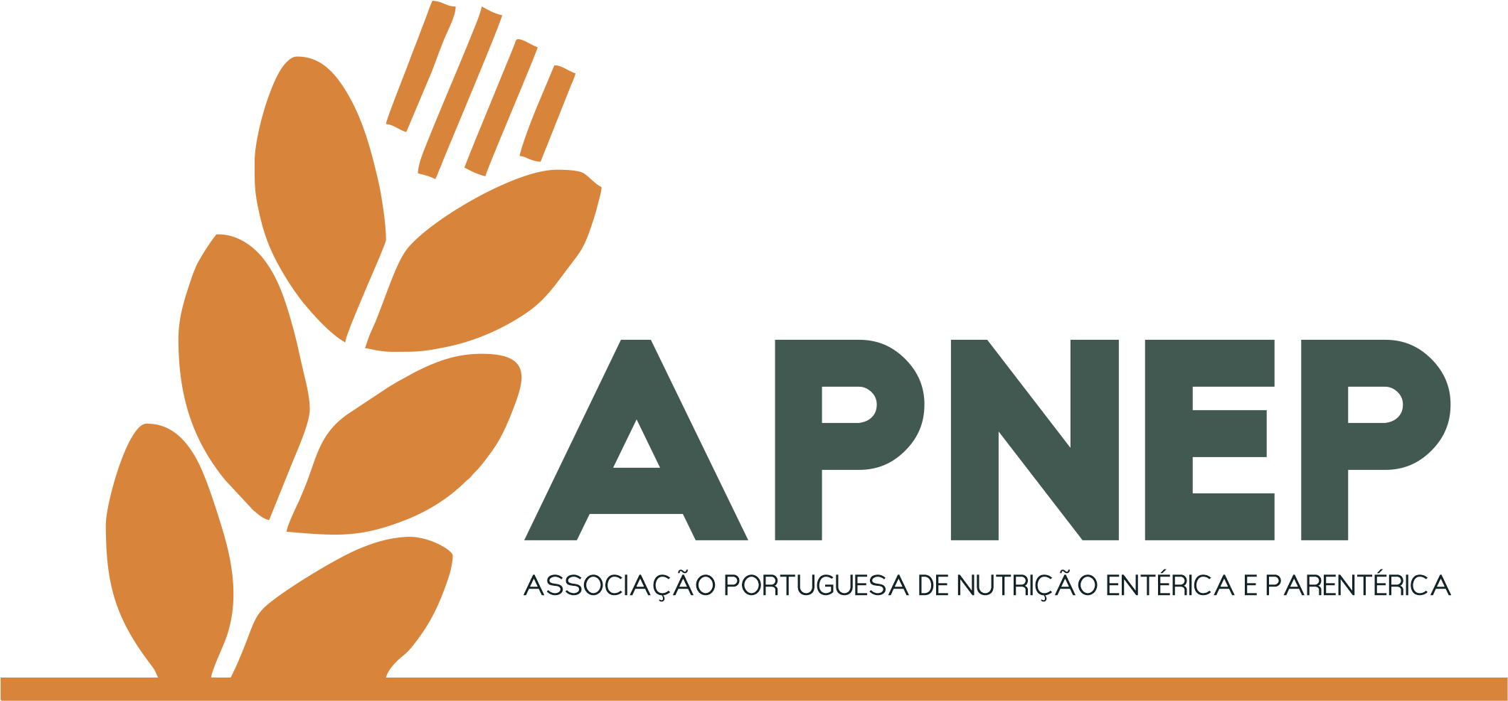 Apnep Conference 2024