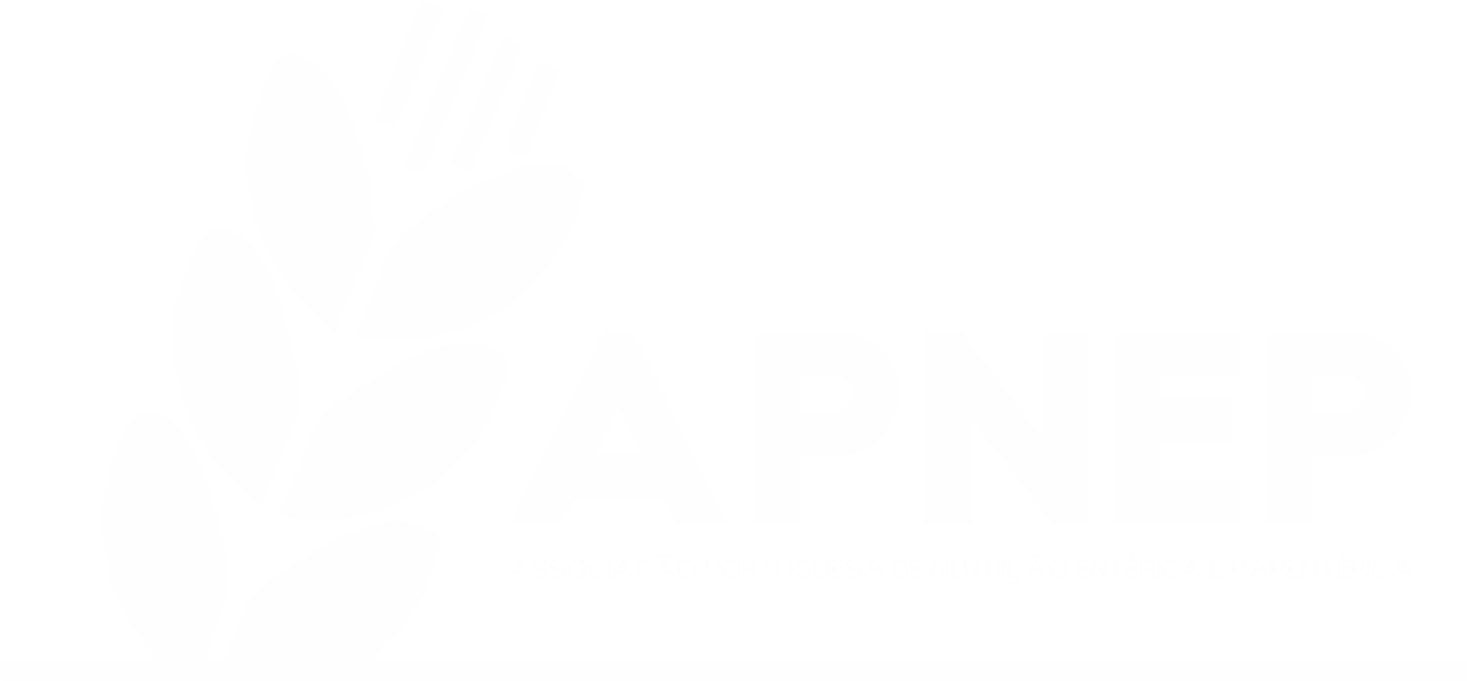 Apnep Conference 2024
